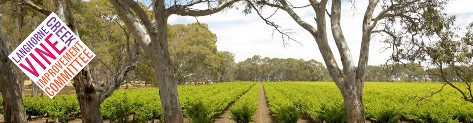 Langhorne Creek Vine Improvement Committee Inc