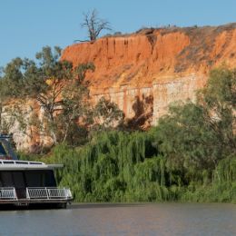 Riverland Landscape...