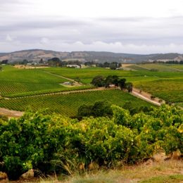 mclarenvale (1).jpg...