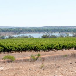 Riverland Landscape...