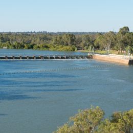 Riverland Landscape...